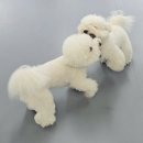 매일행복하개 이미지