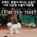 산골총각 오시기전 복습 필수🫡 ❤️+댓글 🙏 이미지