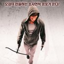 피어29