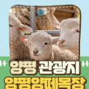 학곡목장 이미지