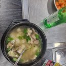게으른토끼