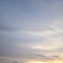 우리의 애견 동반 캠핑 기록들_2