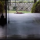 무진가든 이미지