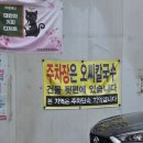 웰빙매운해물손칼국수 | 대전 삼성동 오씨칼국수 본점, 11시 오픈런해도 35분 웨이팅?! 손칼국수·해물파전 후기🍜