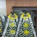 거창읍-28 이미지