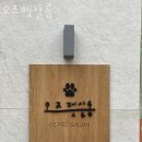 오즈펫살롱 이미지