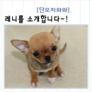 미소 Daum카페