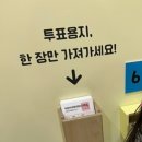 어린이나라방방 | [서울/여의도] 5살 아이와 여의도 국회 어린이박물관 탐방 후기, 여의도 벚꽃축제