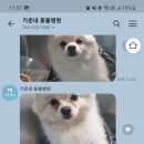 기운내 동물병원 이미지