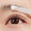 포유래쉬