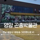 재미통통 책놀이터 | 영암곤충박물관 n회차 찐 단골 후기! (입장료 할인, 곤충 체험, 왕인박사축제 코스)