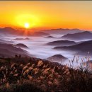 서강목장 이미지