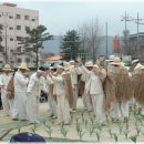 남면초등학교 이미지