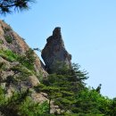 선유도장자도리치민박 이미지