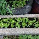 진맥잘보는한의원 이미지