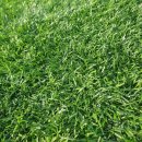 가람로150번길(1) 이미지