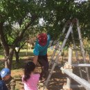 고성리산양목장 이미지