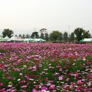 우보초등학교 이미지