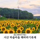 관기1구마을회관 | 충남 해바라기 명소 서산 하솔마을 해바라기 축제 방문후기 &amp; 꿀팁