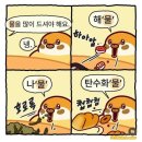 라플