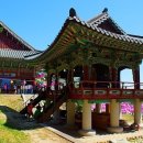 동해대로1 이미지