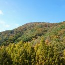 장태산휴양림 이미지