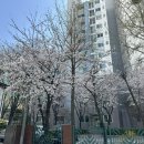 이광수신경과의원 이미지