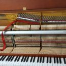 일광상회 이미지