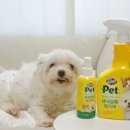 (주)유한크로락스 | 강아지 탈취제 오줌 냄새 얼룩 제거 유한크로락스펫 냄새얼룩제거제