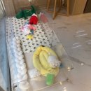 샵펫 강아지분양 울산점 이미지