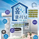 개꿈꾸는 고양이 이미지