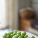 풍산농원 이미지