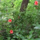 홍류동 화장실 이미지