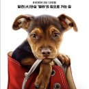 더웨이홈