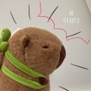 금성당구장 이미지