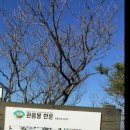 관음봉 한운 이미지