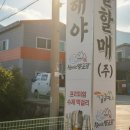 농업회사법인 남해(주) 이미지