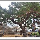 군북로 이미지
