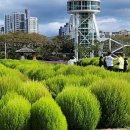 황산공원 이미지