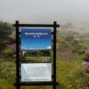 한라산 선작지왓 | 한라산 등반로중 가장 짧은 영실코스. 교통편, 소요...등 (영실기암, 선작지왓, 윗세오름, 남벽분기점...