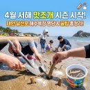 대풍(대동)해수욕장 화장실 | 서해 맛조개 시즌 시작! 태안 달산포 해수욕장 명당 &amp; 꿀팁 총정리