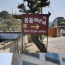 주전블루베리 이미지