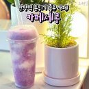 카페세콩