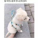한*대