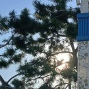 RE:만족한 삶이 이미지