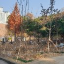 숙지공원 이미지