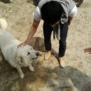 홍천 레인보우 이미지