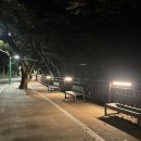 우암산순환로 이미지