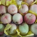 맛나라 이미지