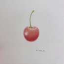 보태니컬아트 이미지